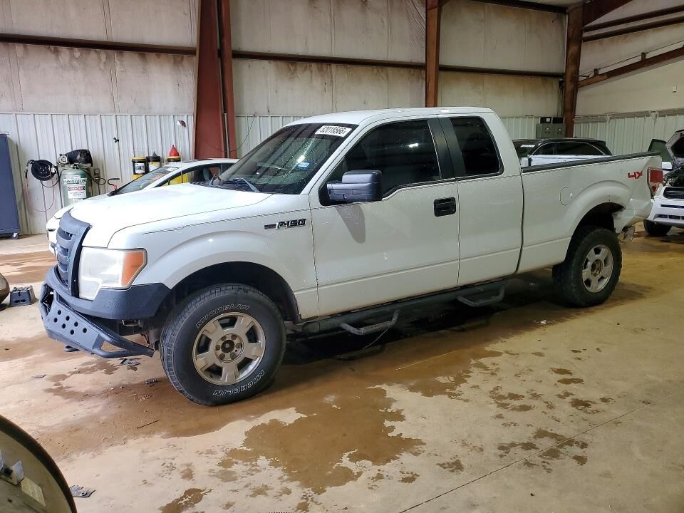 2010 FORD F-150
