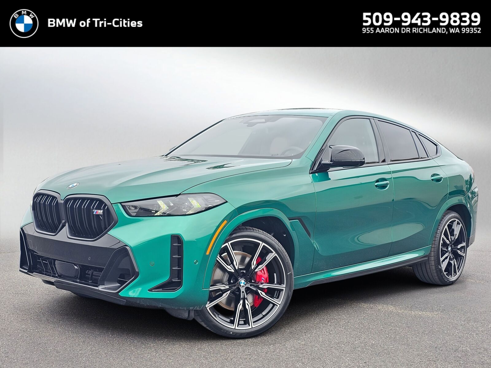 2026 BMW X6