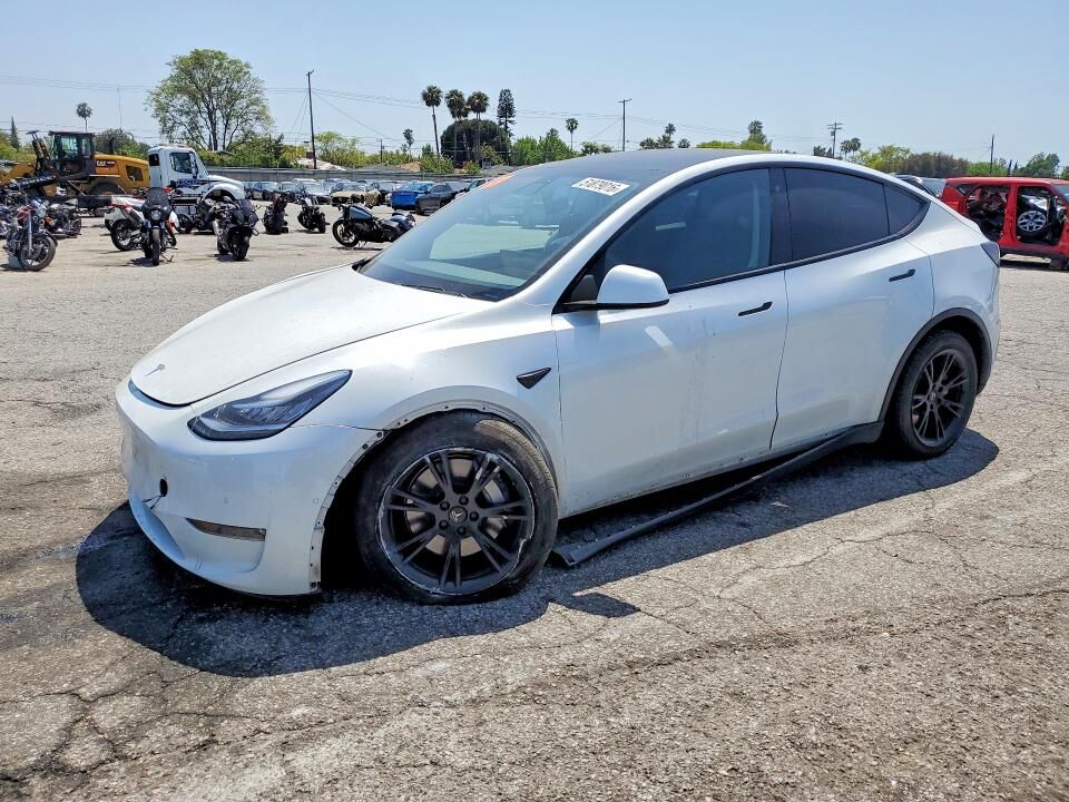 2020 TESLA Model Y