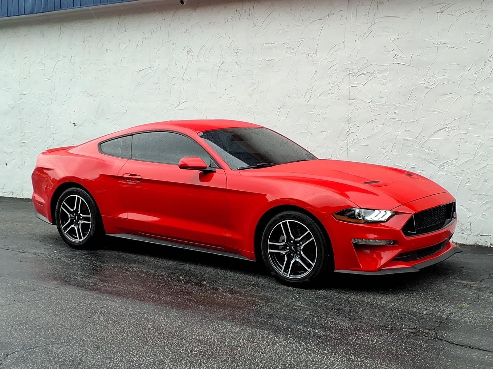 2019 FORD Mustang