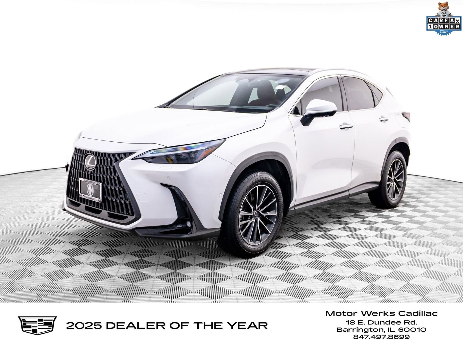 2024 LEXUS NX