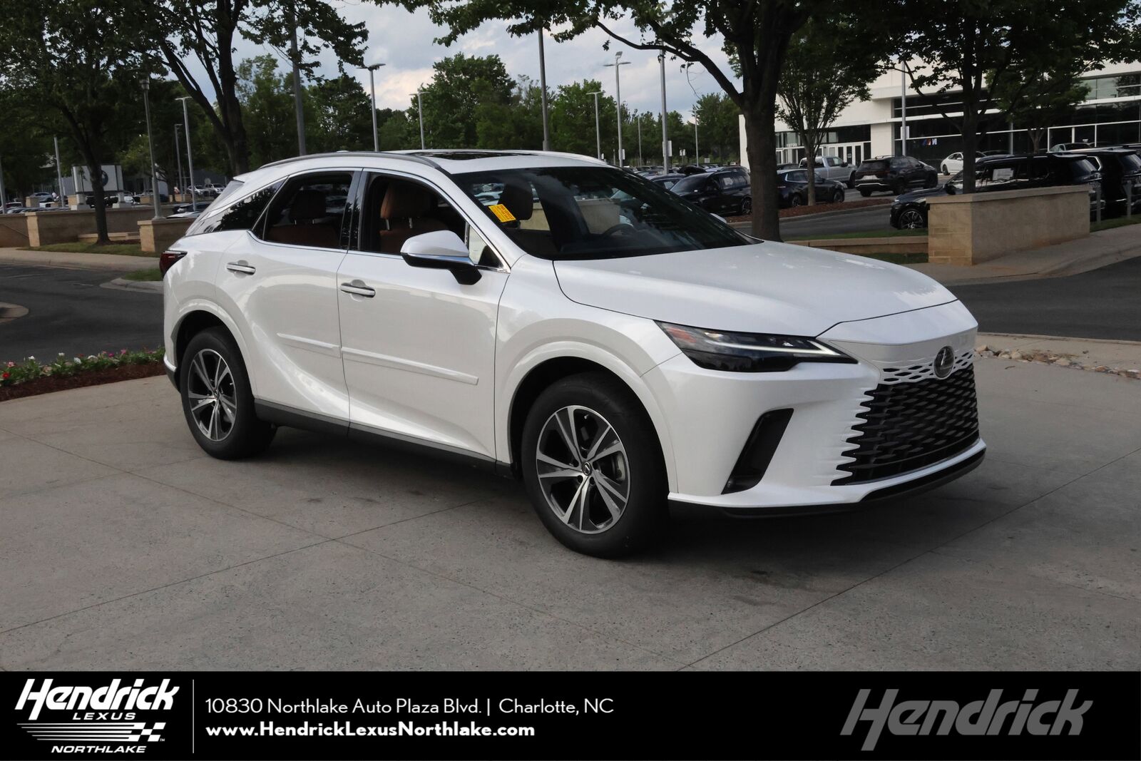 2025 LEXUS RX