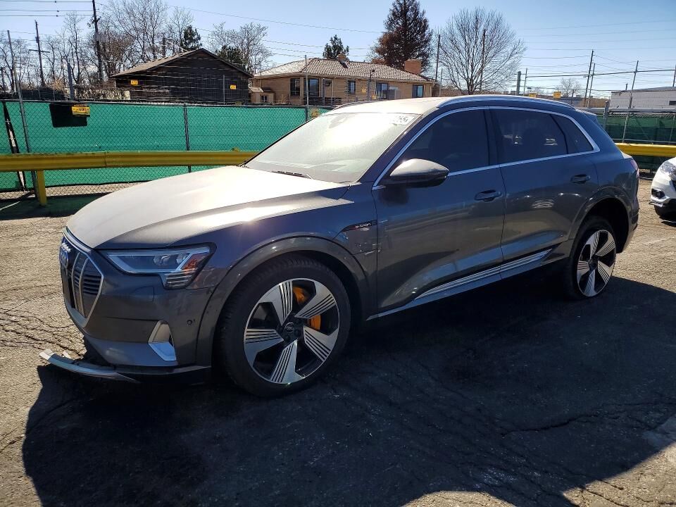 2019 AUDI e-tron