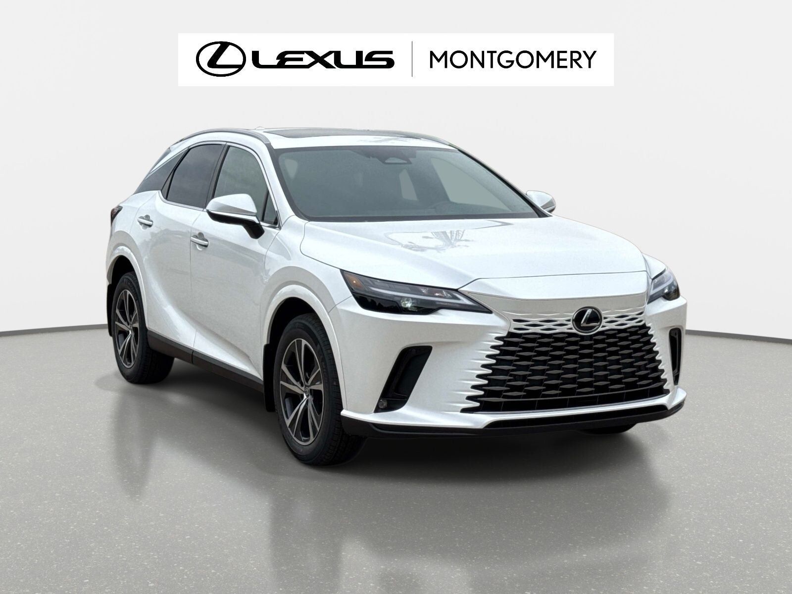 2026 LEXUS RX