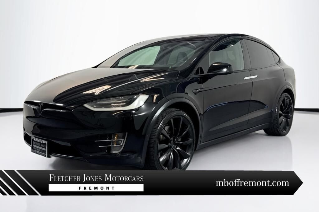 2019 TESLA Model X