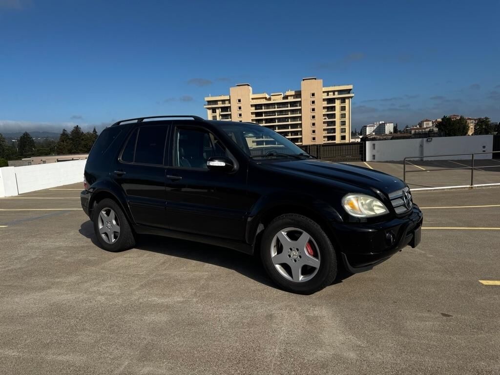 2002 MERCEDES-BENZ M-Class
