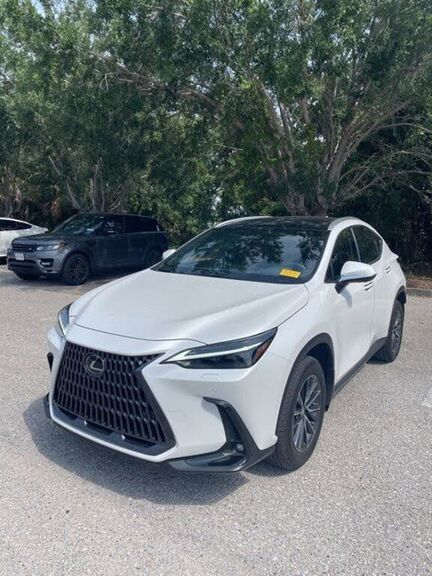 2025 LEXUS NX