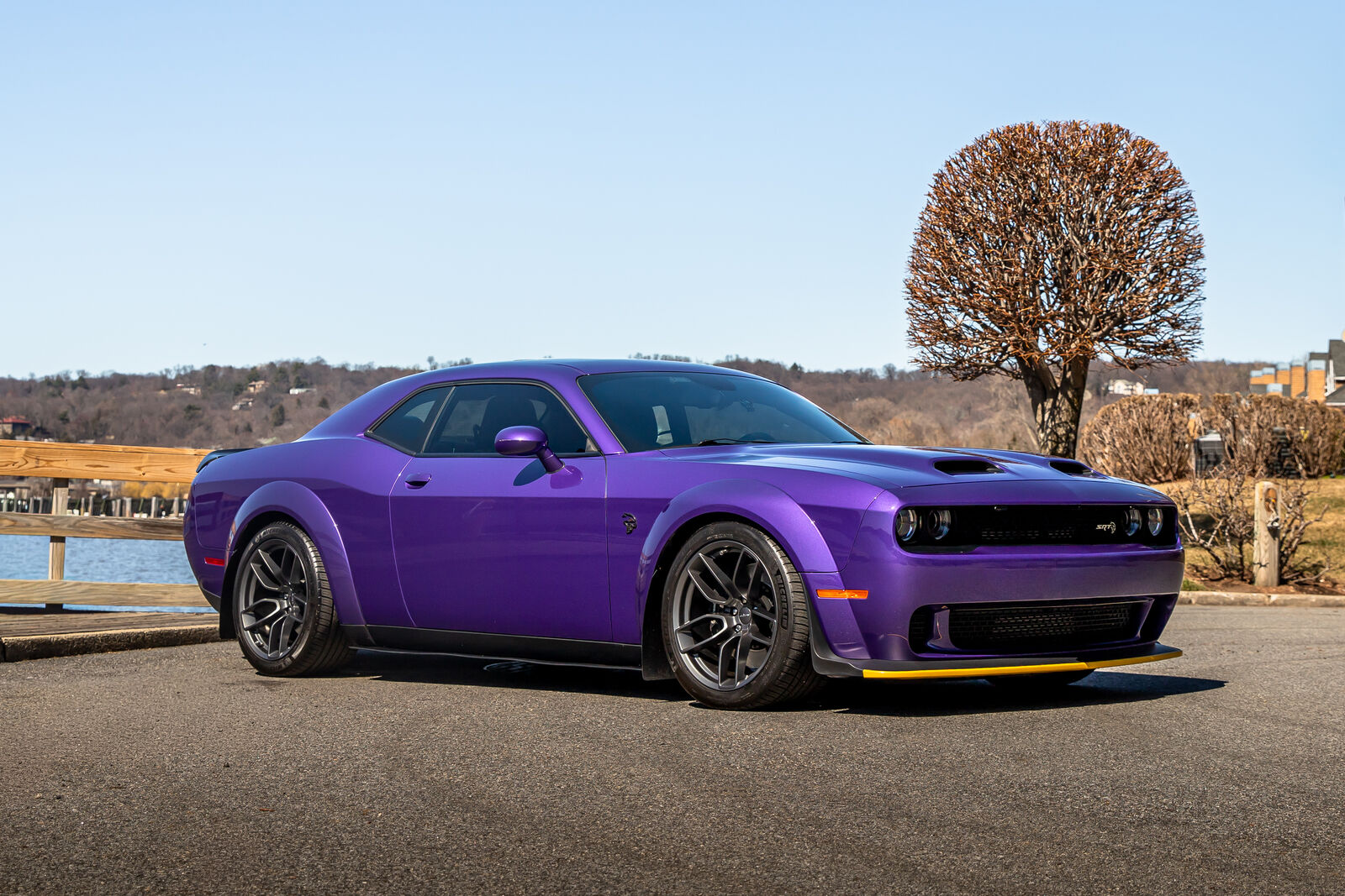 2019 DODGE Challenger