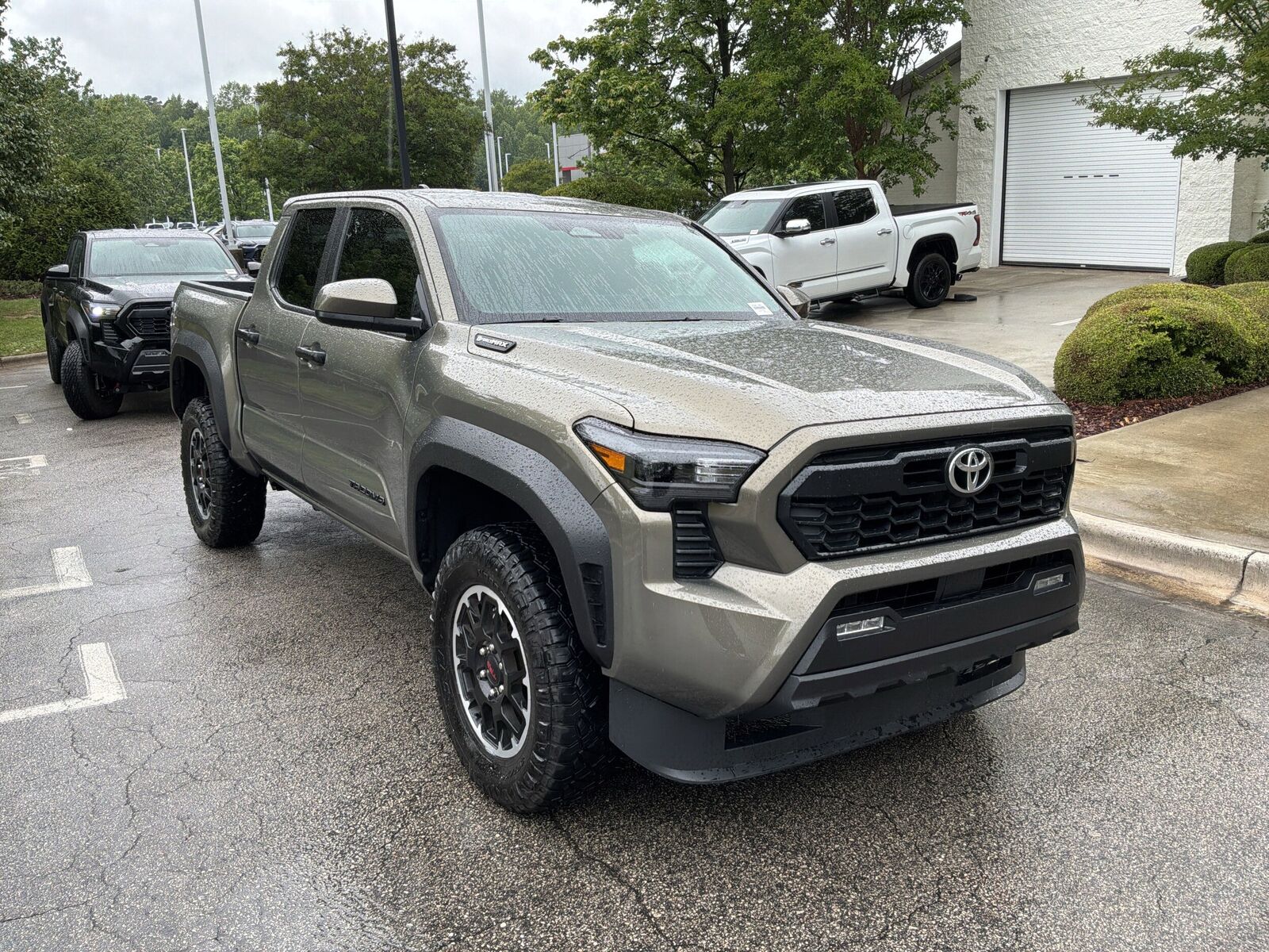2025 TOYOTA Tacoma