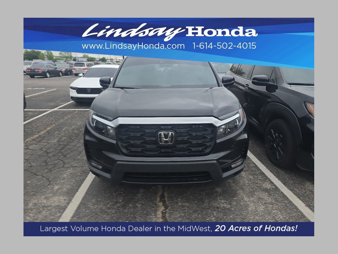 2023 HONDA Passport
