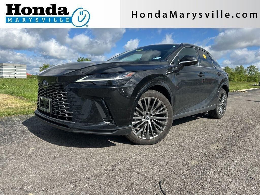 2024 LEXUS RX