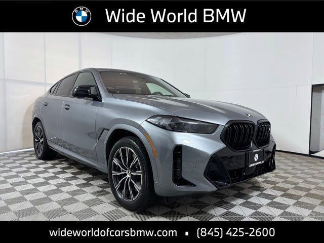 2024 BMW X6