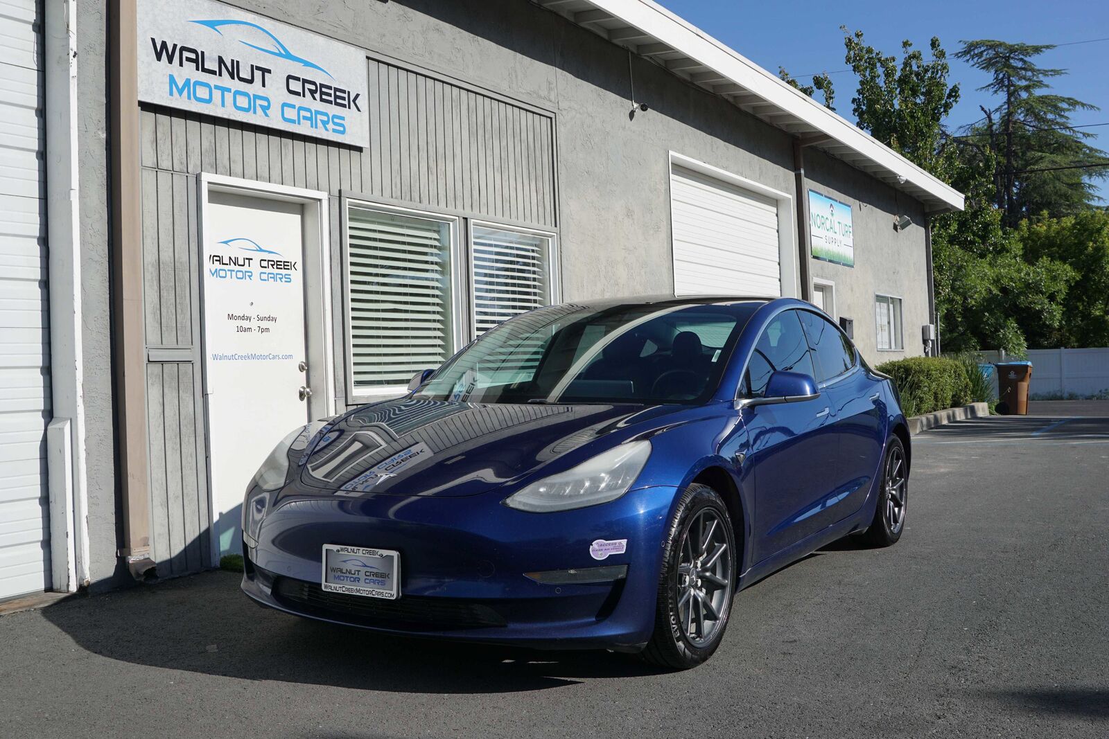 2019 TESLA Model 3