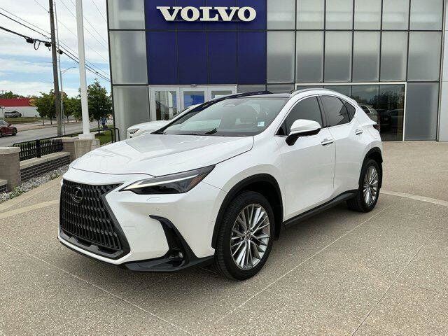 2025 LEXUS NX