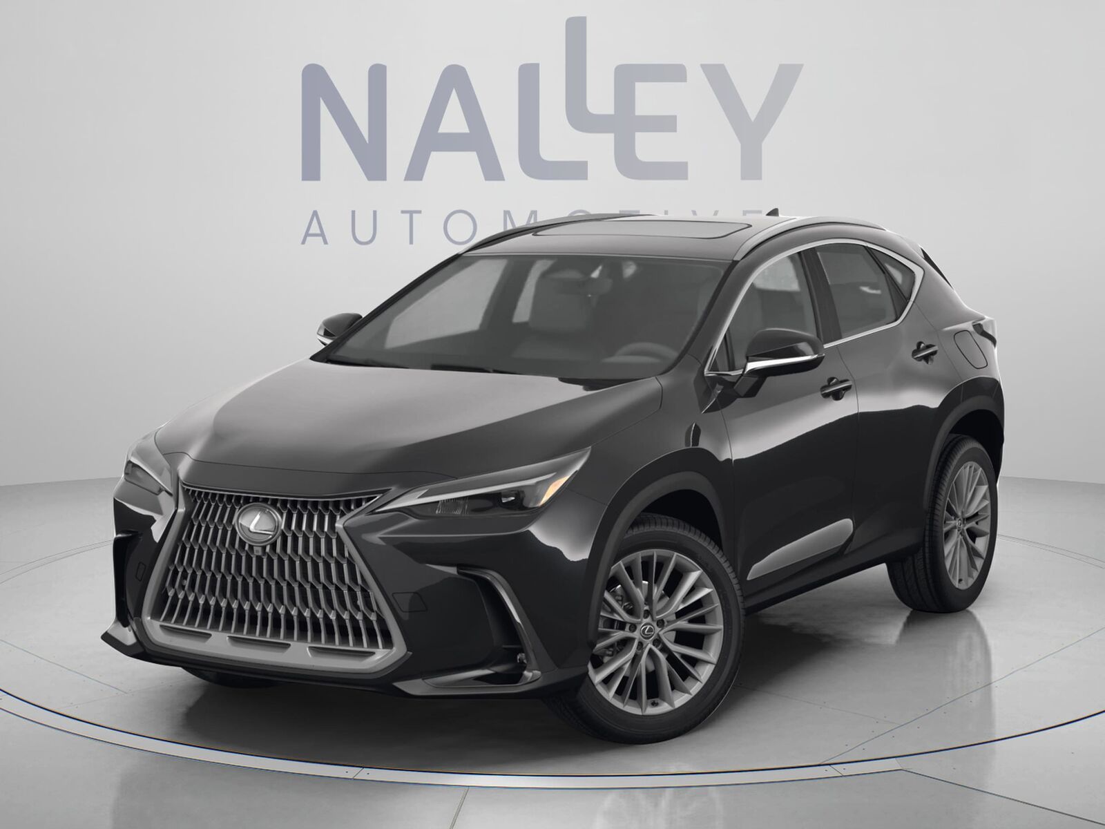 2025 LEXUS NX