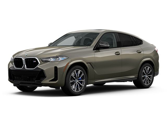 2025 BMW X6