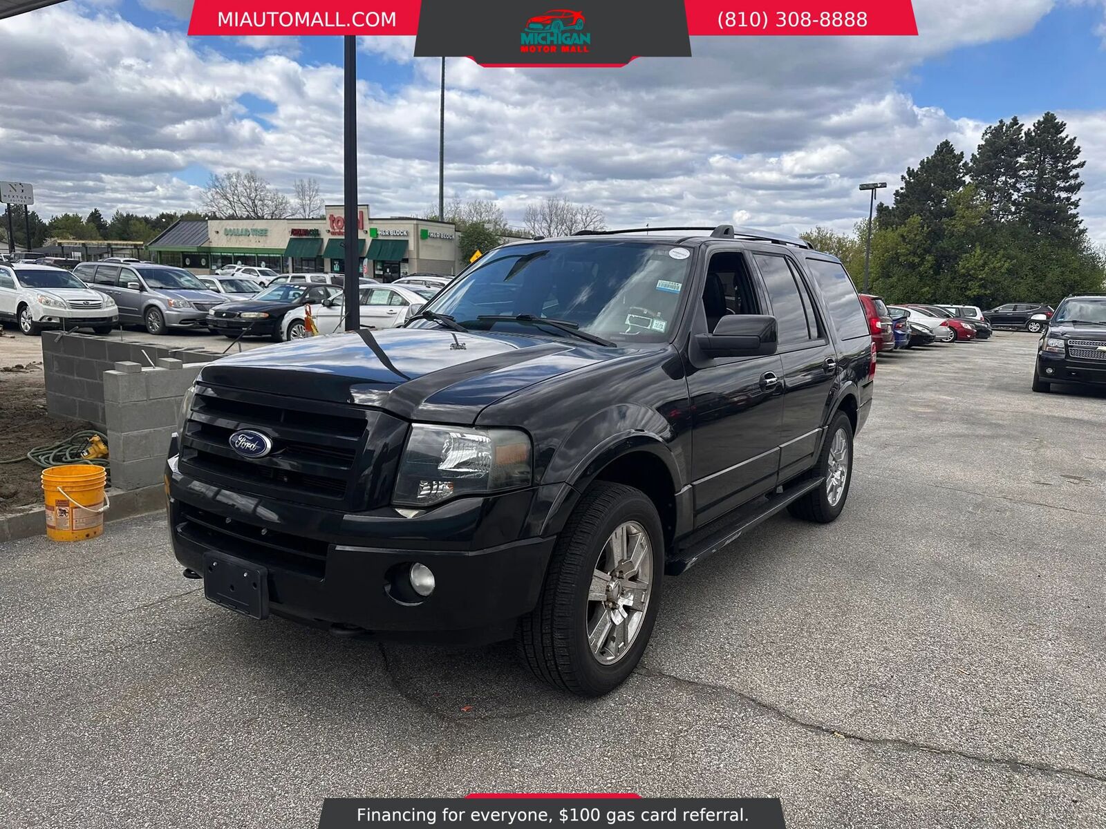 2010 FORD Expedition