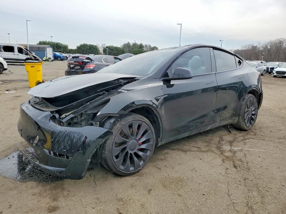 2024 TESLA Model Y