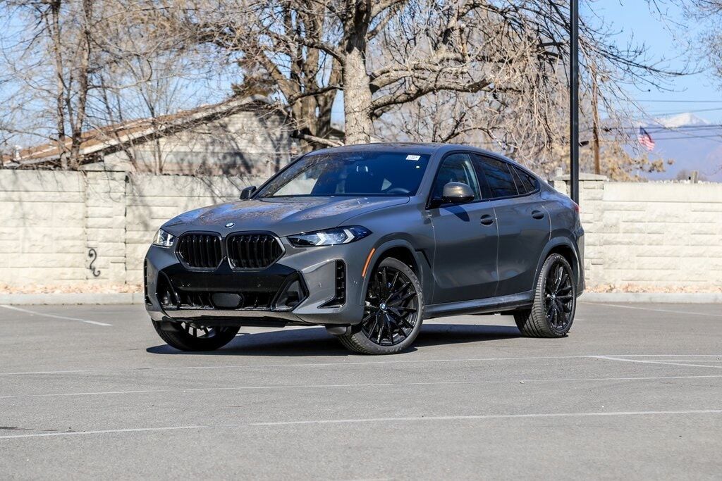 2026 BMW X6