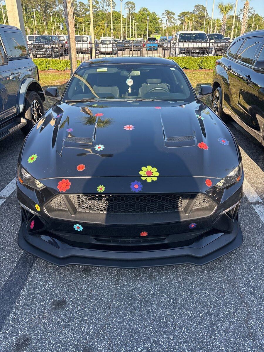 2019 FORD Mustang