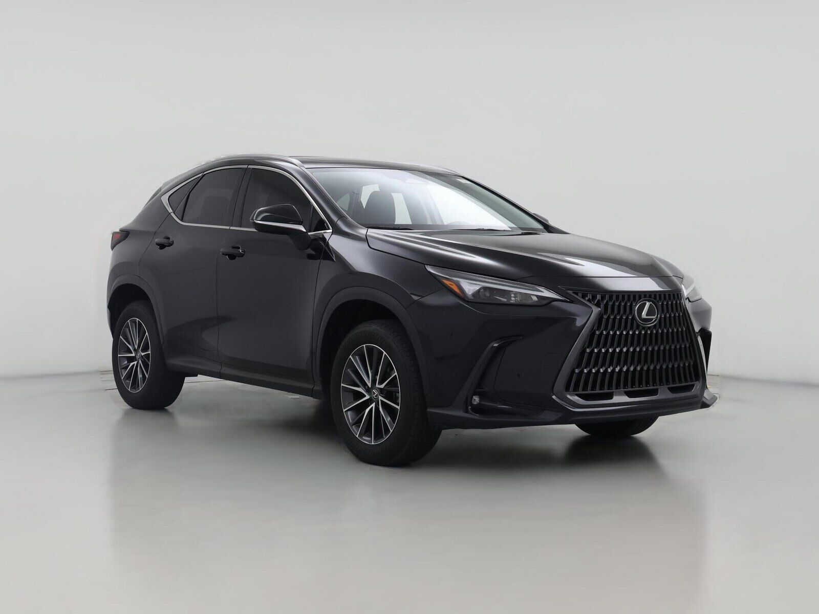 2024 LEXUS NX