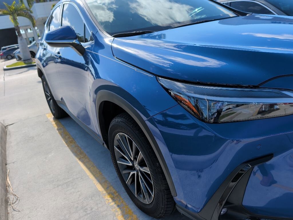 2025 LEXUS NX