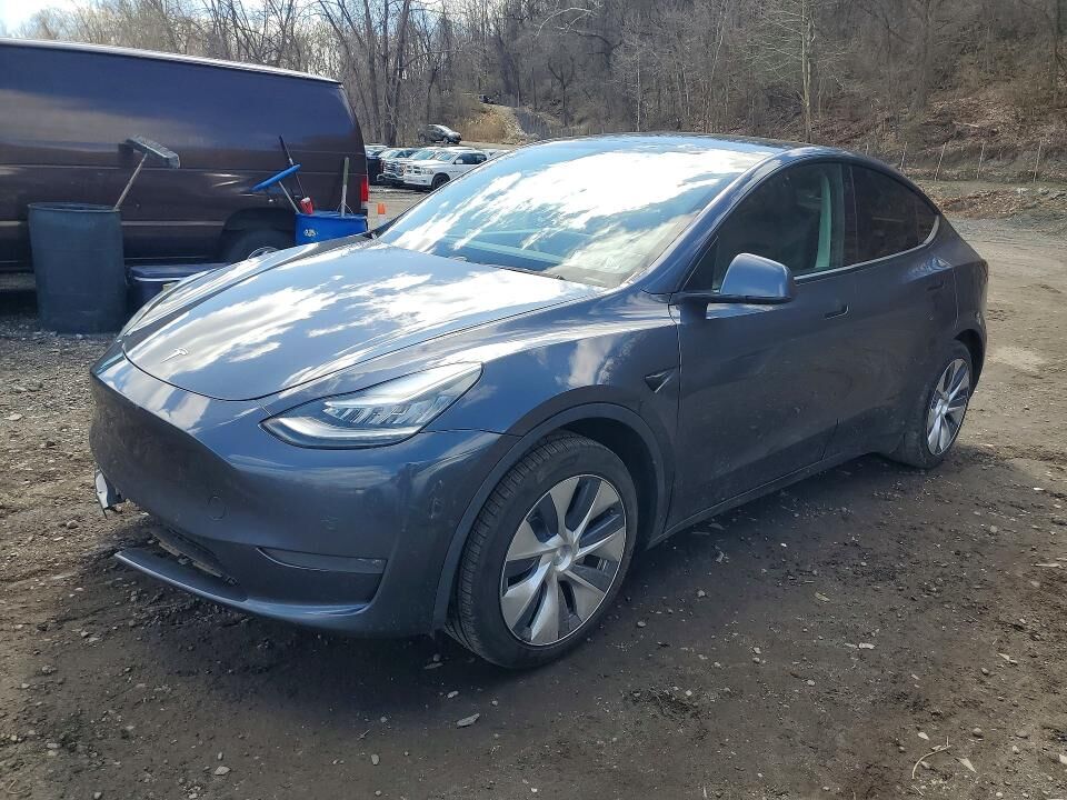 2020 TESLA Model Y