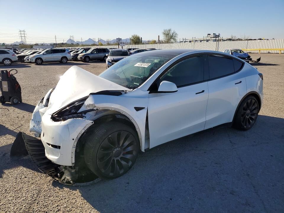 2021 TESLA Model Y