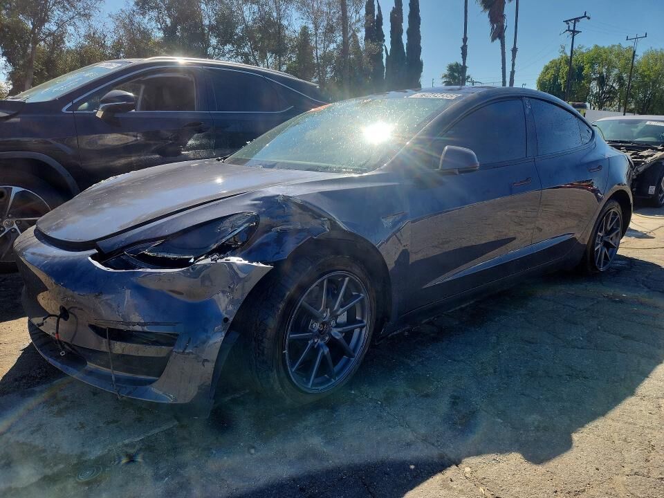 2019 TESLA Model 3