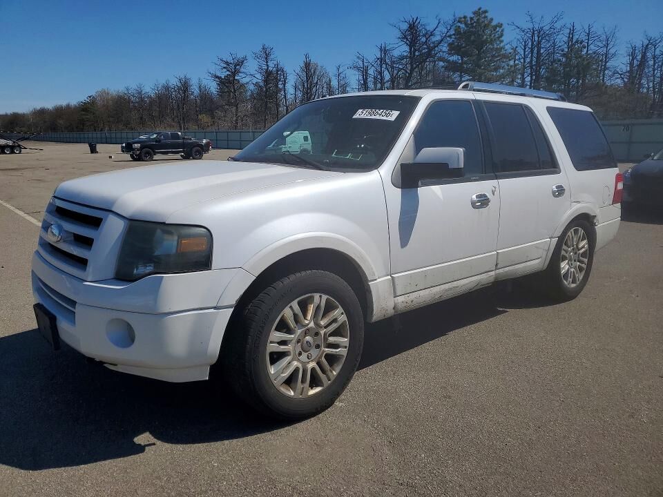 2010 FORD Expedition