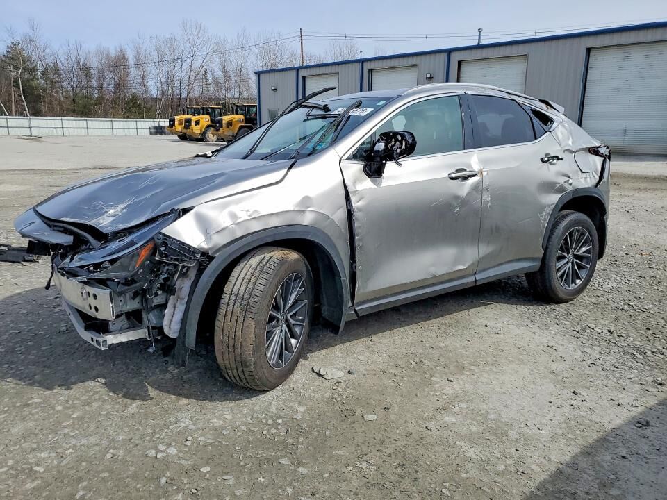 2024 LEXUS NX