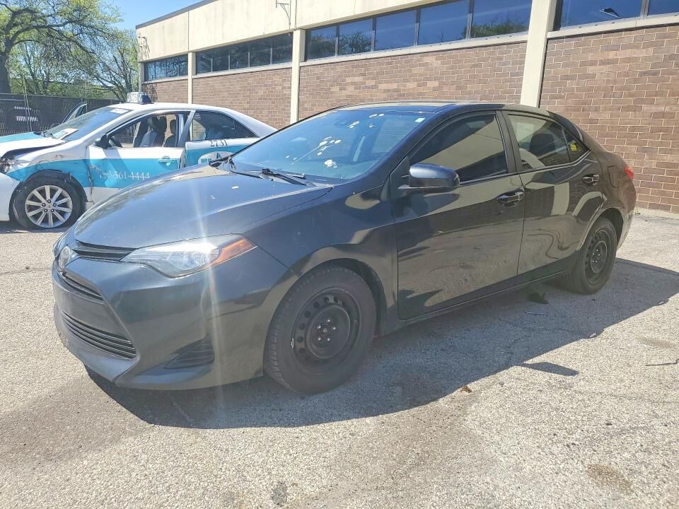 2019 TOYOTA Corolla