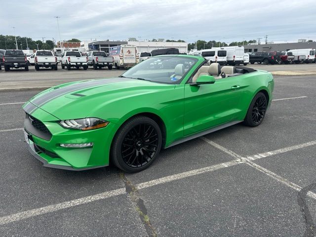 2019 FORD Mustang