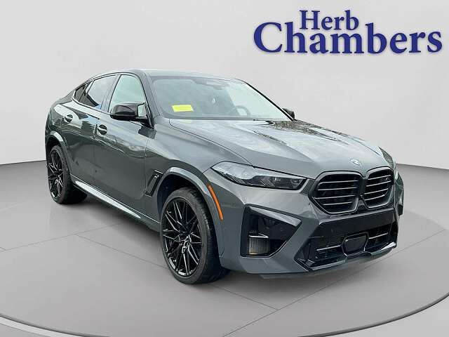 2024 BMW X6