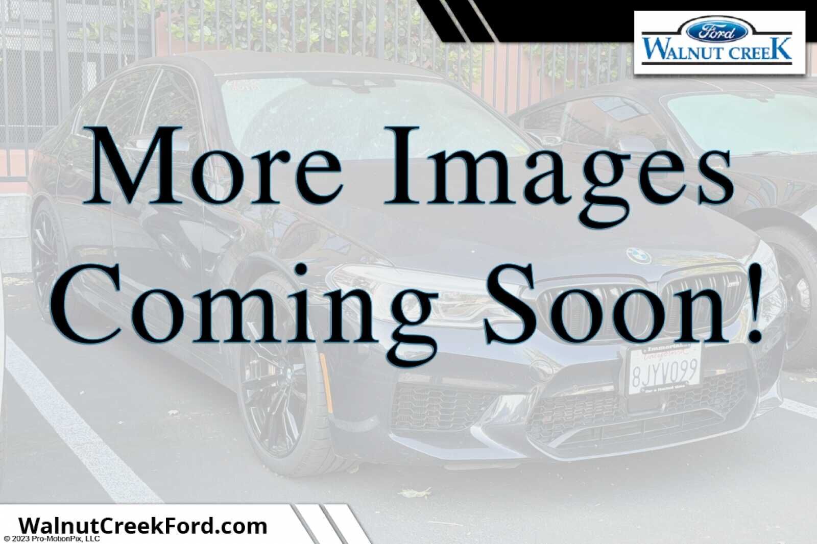 2019 BMW M5
