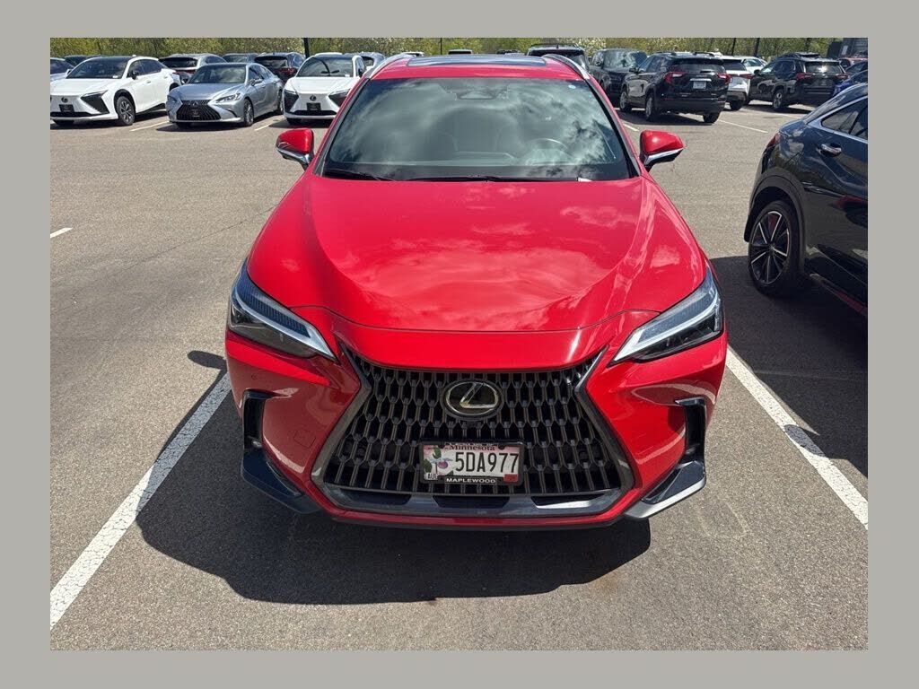 2024 LEXUS NX