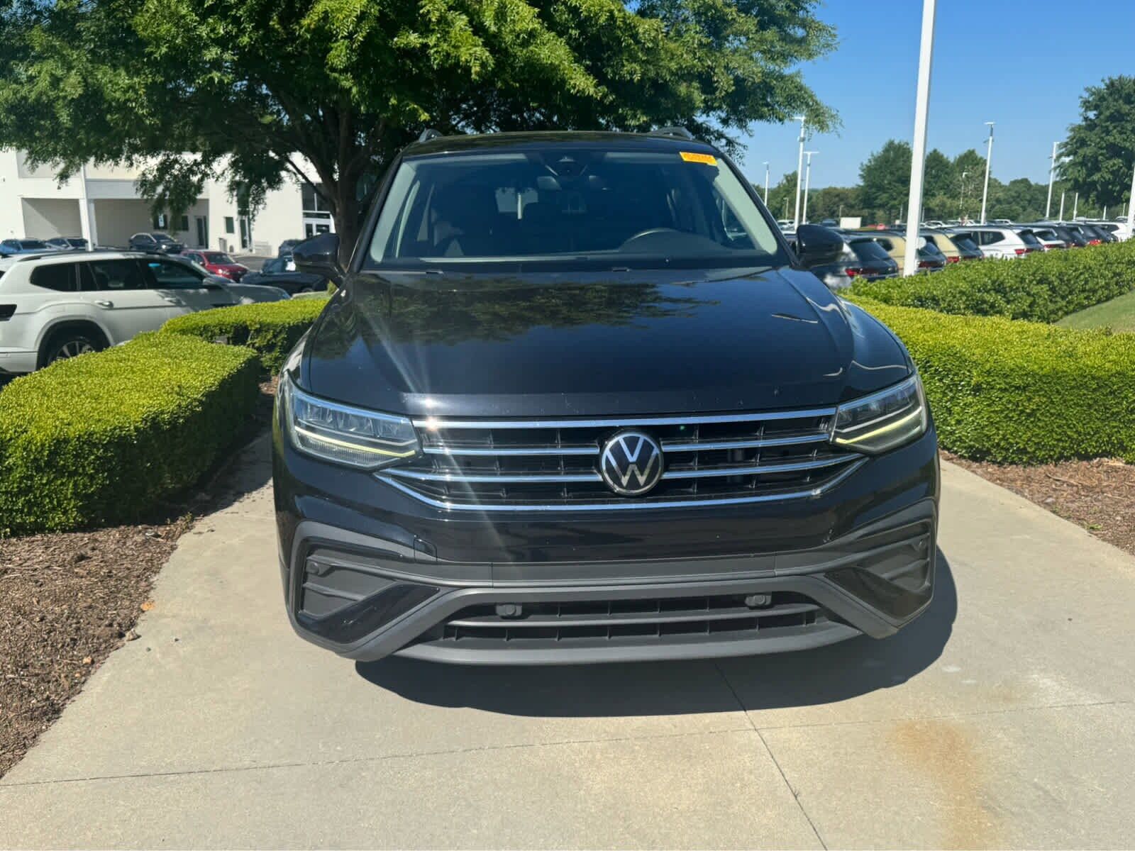 2023 VOLKSWAGEN Tiguan