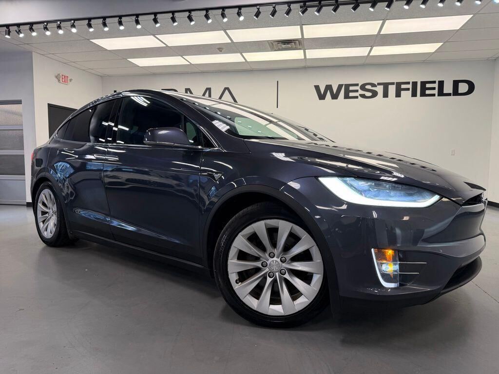 2019 TESLA Model X