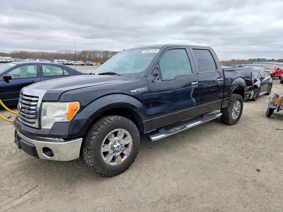 2010 FORD F-150