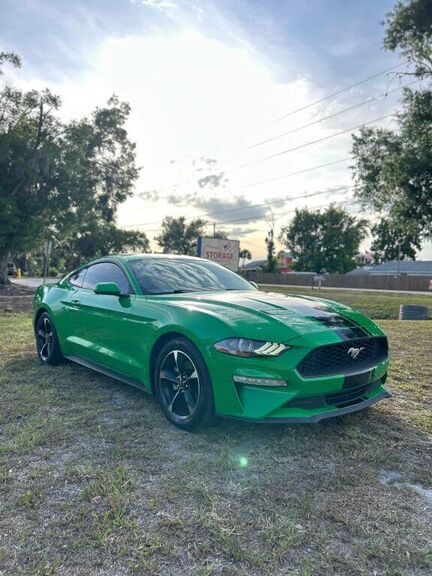 2019 FORD Mustang