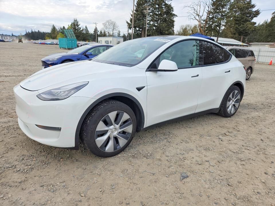 2020 TESLA Model Y