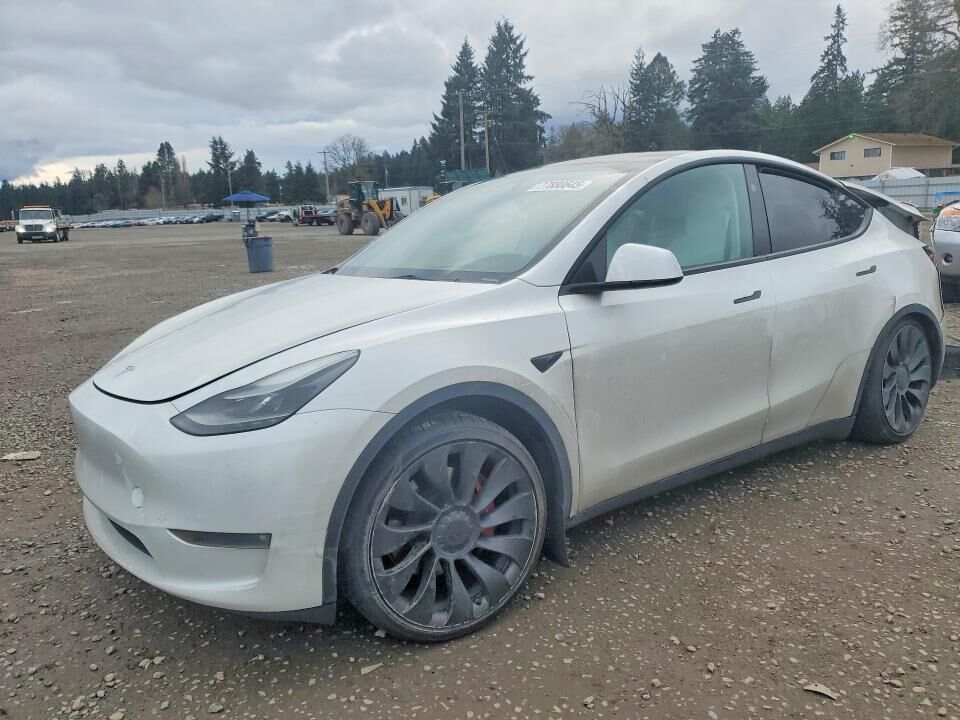 2023 TESLA Model Y