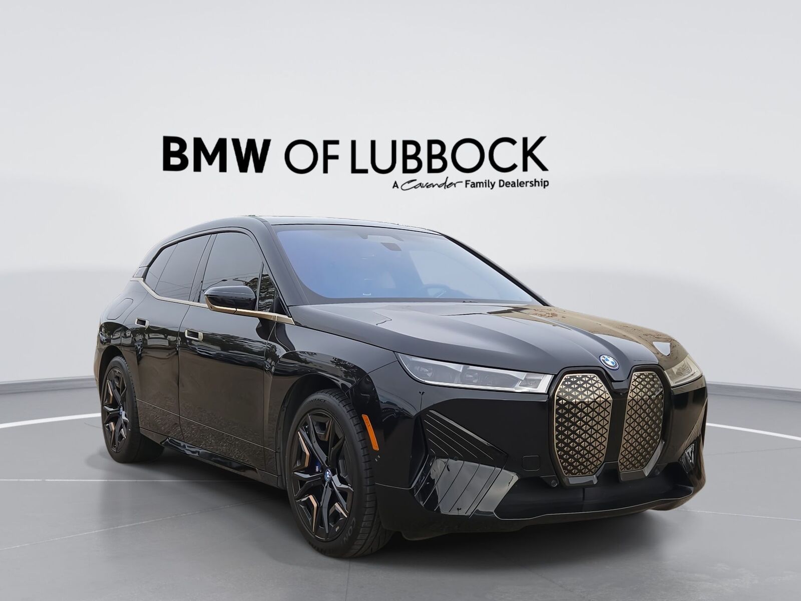 2023 BMW ix