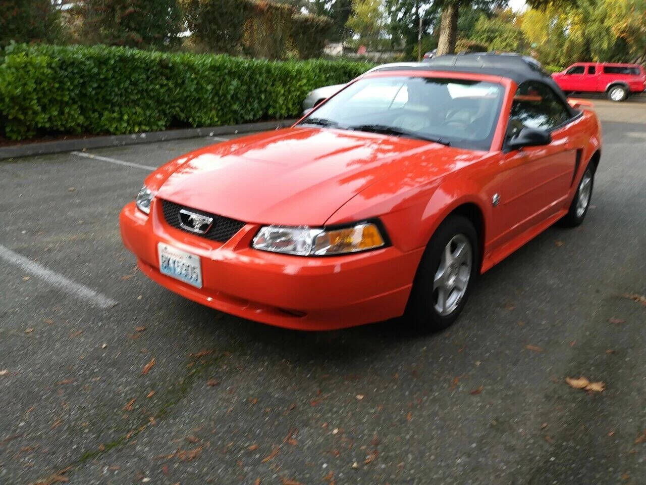 2004 FORD Mustang