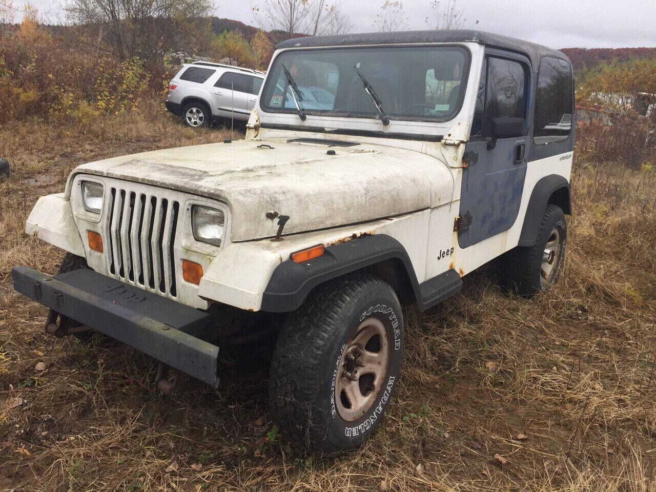 1995 JEEP Wrangler