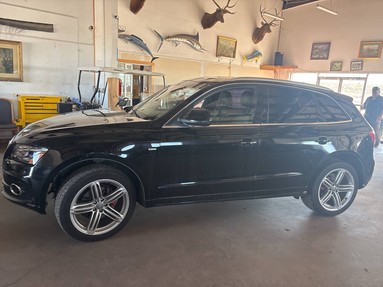 2010 Audi Q5