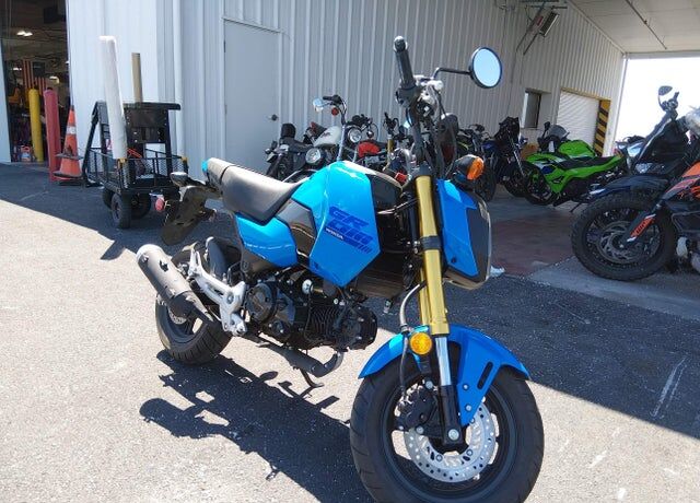 2025 HONDA MSX125