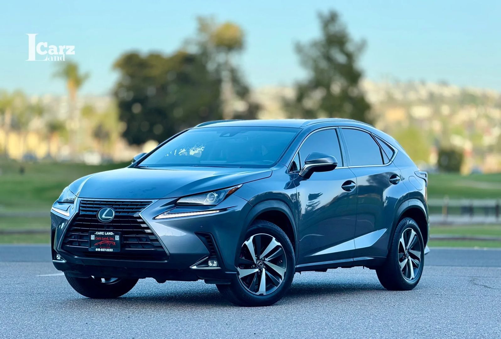 2018 LEXUS NX
