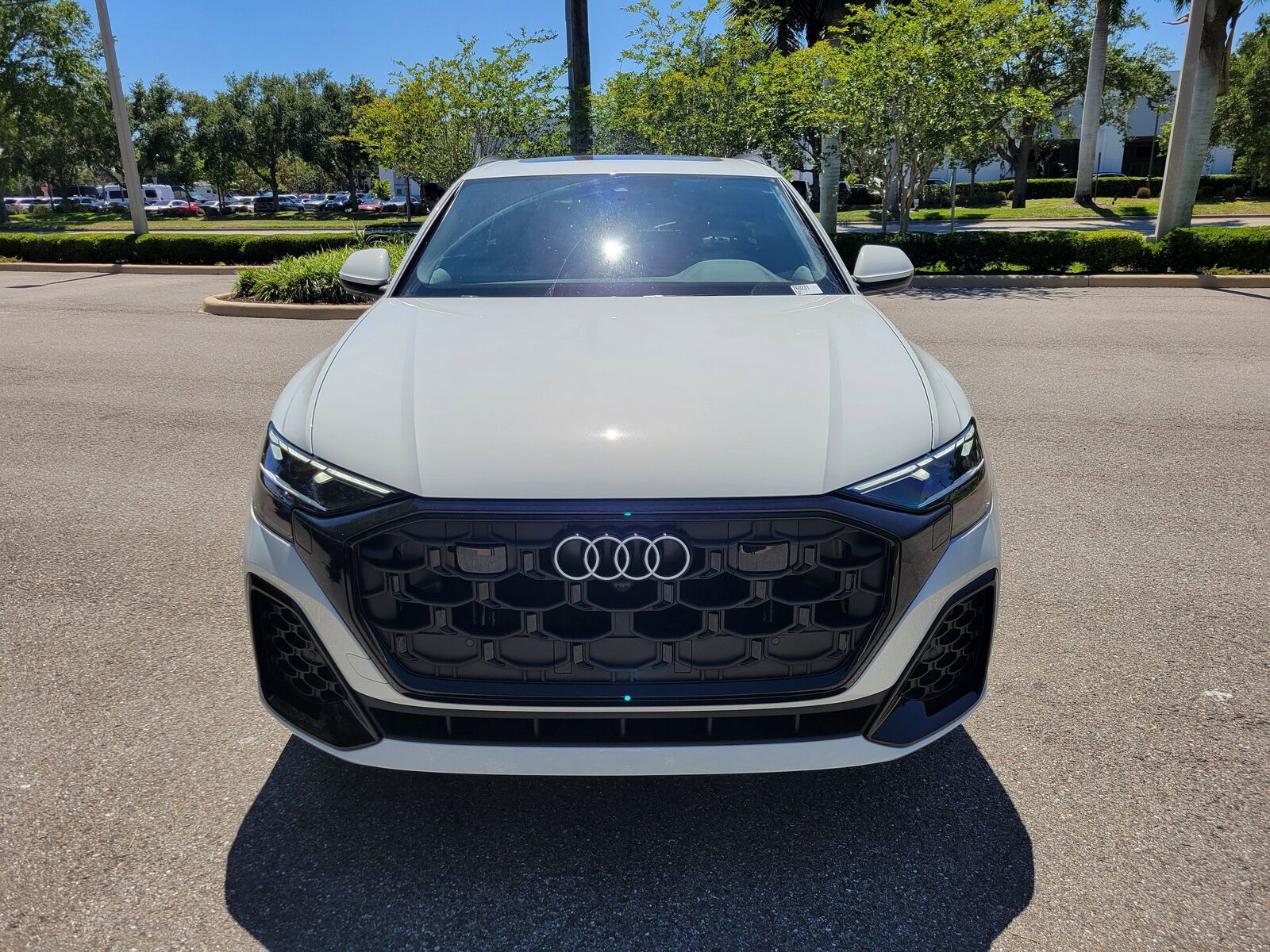 2026 Audi Q8