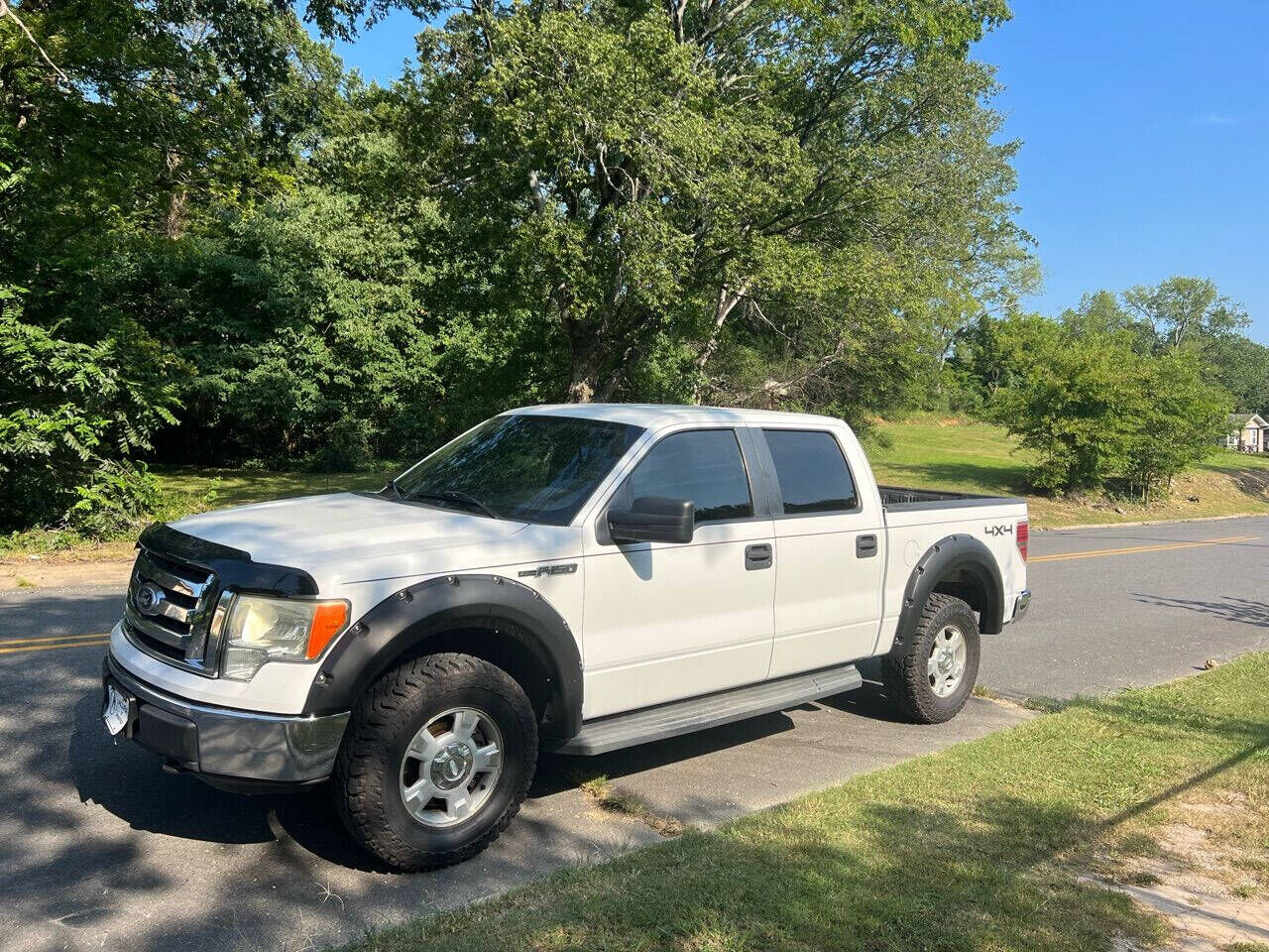 2010 FORD F-150